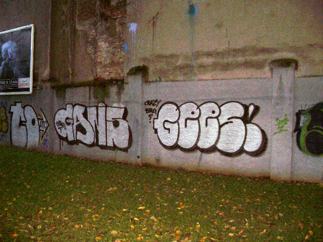 GANS + GEES